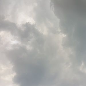 Meet your Posher, Kat